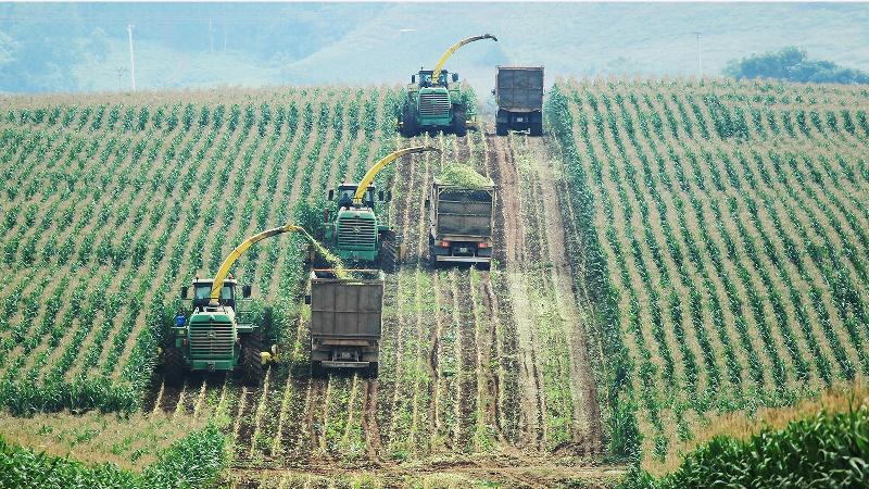 Ván Khuôn Thép Hòa Phát: Khám Phá ‘Bộ Áo Giáp’ Bền Bỉ Cho Công Trình